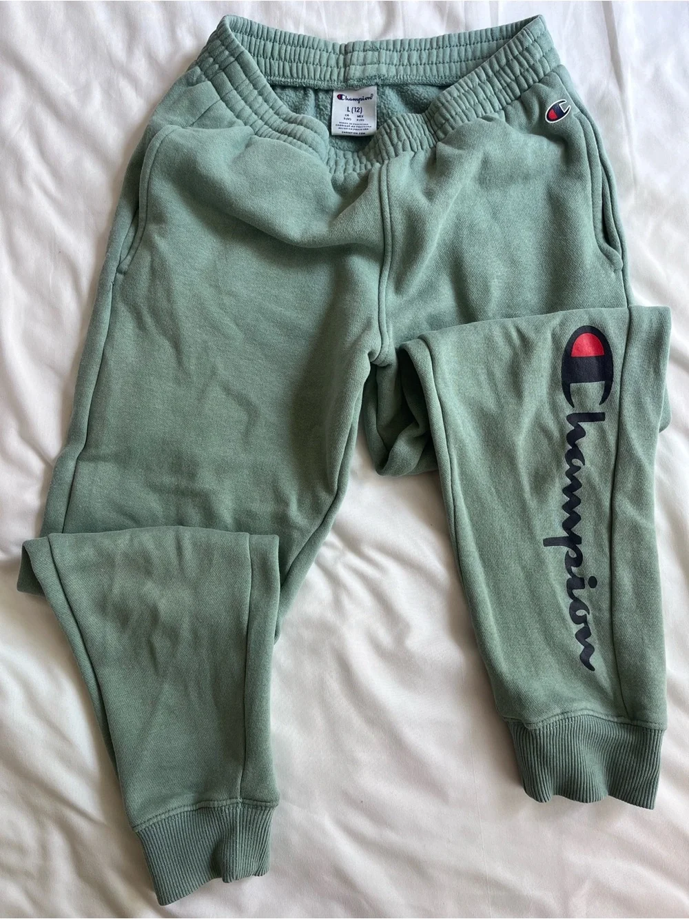 Champion Sage Green Hoodie & Jogger Set with Script Logo